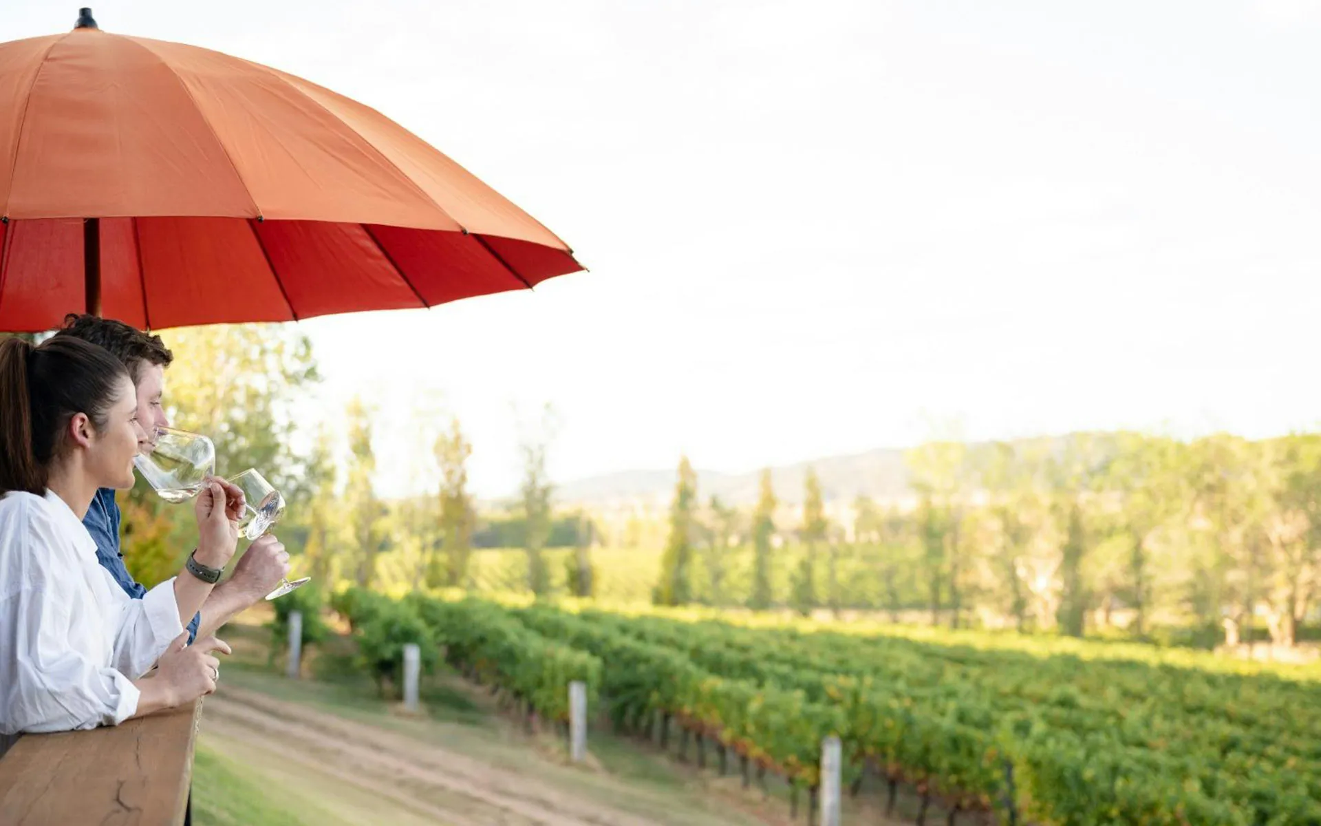 ChaLou-Wines-in-Orange