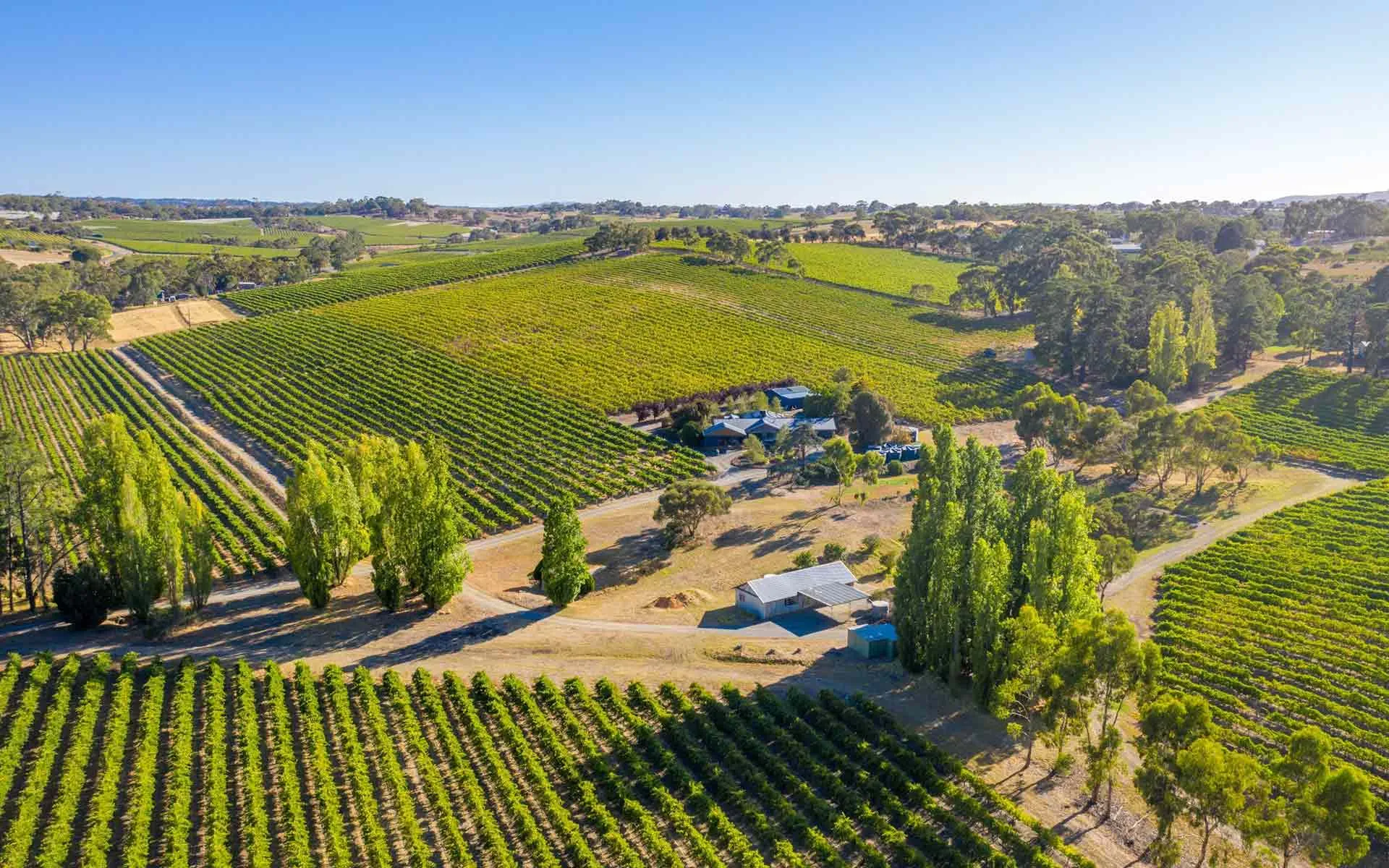 McLaren Vale, SA