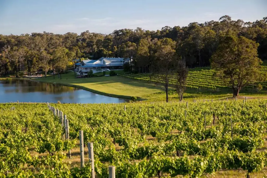 Winery-in-the-Margaret-River-Region