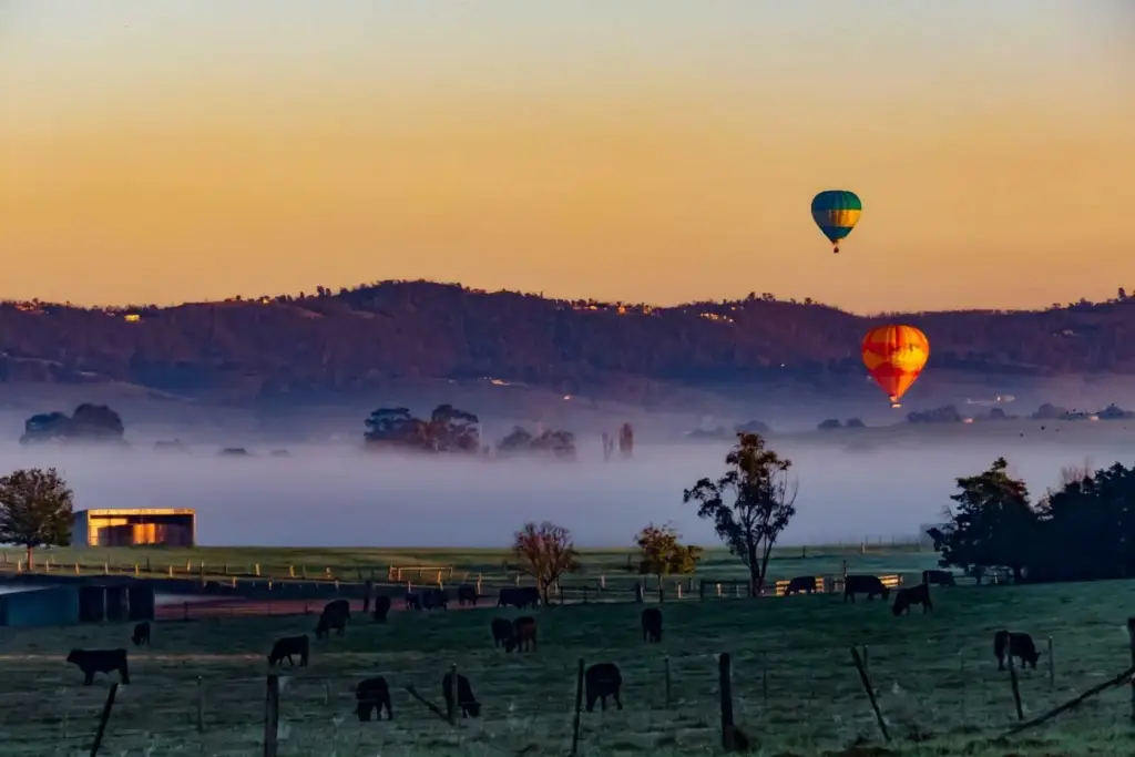 About-Hunter-Valley