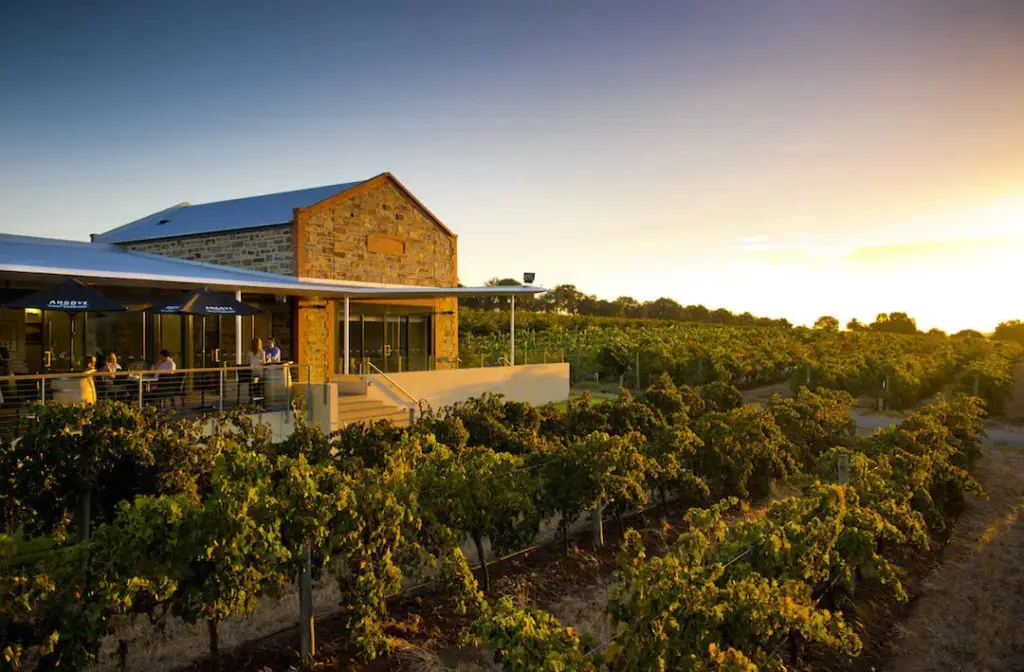 About-McLaren-Vale-South-Australia