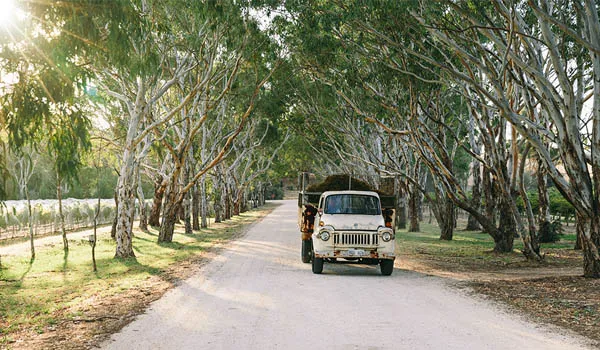 Barossa-Valley-Wineries