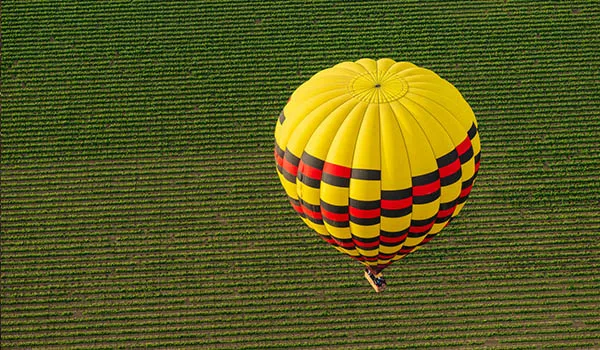 Things-to-do-in-the-barossa