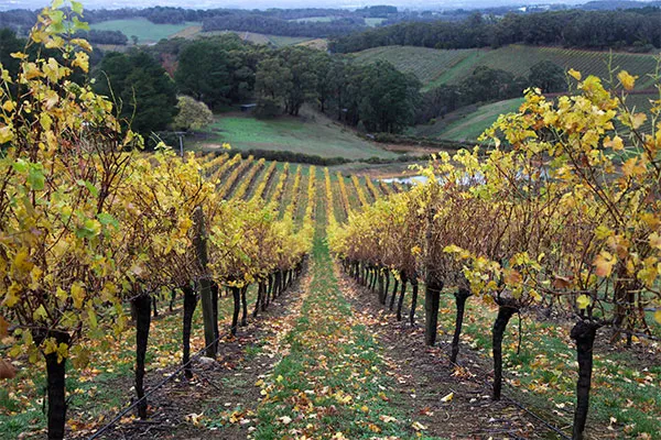 adelaide-hills