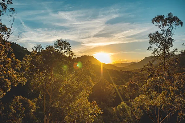 things-to-do-hunter-valley